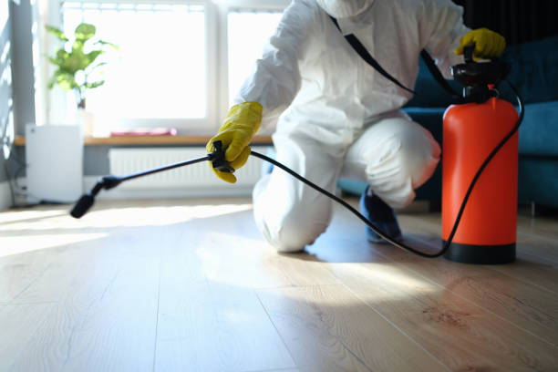 Reliable Odor Removal contractor in San Antonio, FL by Trauma Clean Pros